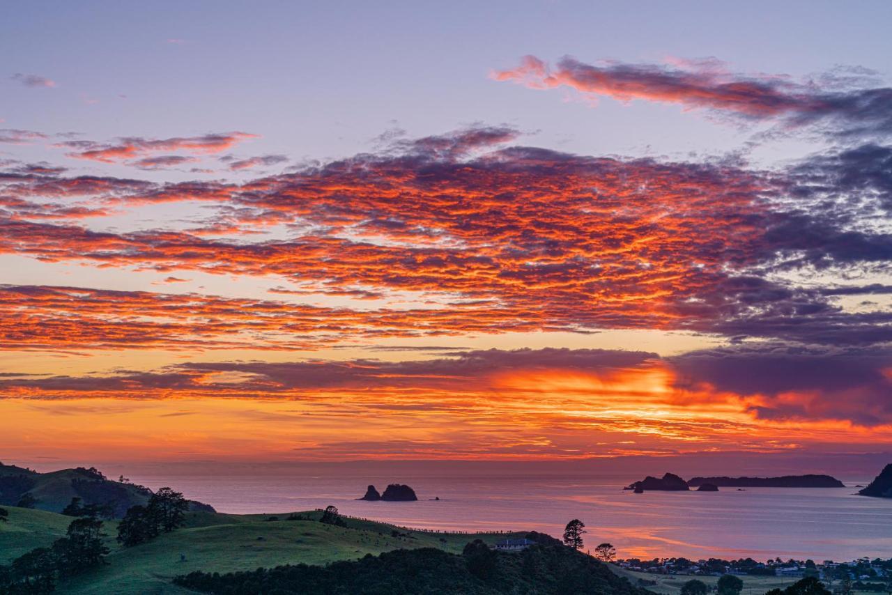 Bayview Valley Lodge Bed & Breakfast Whitianga Exteriér fotografie
